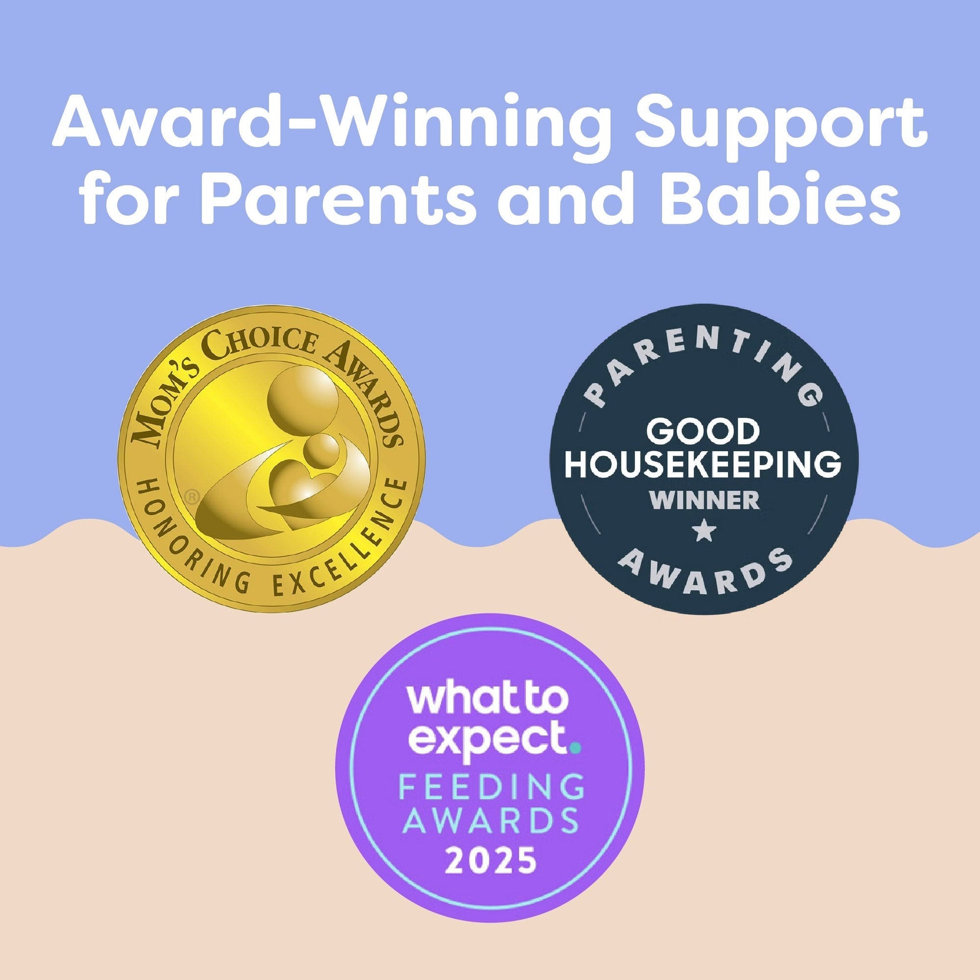 Boppy Nursing Pillow