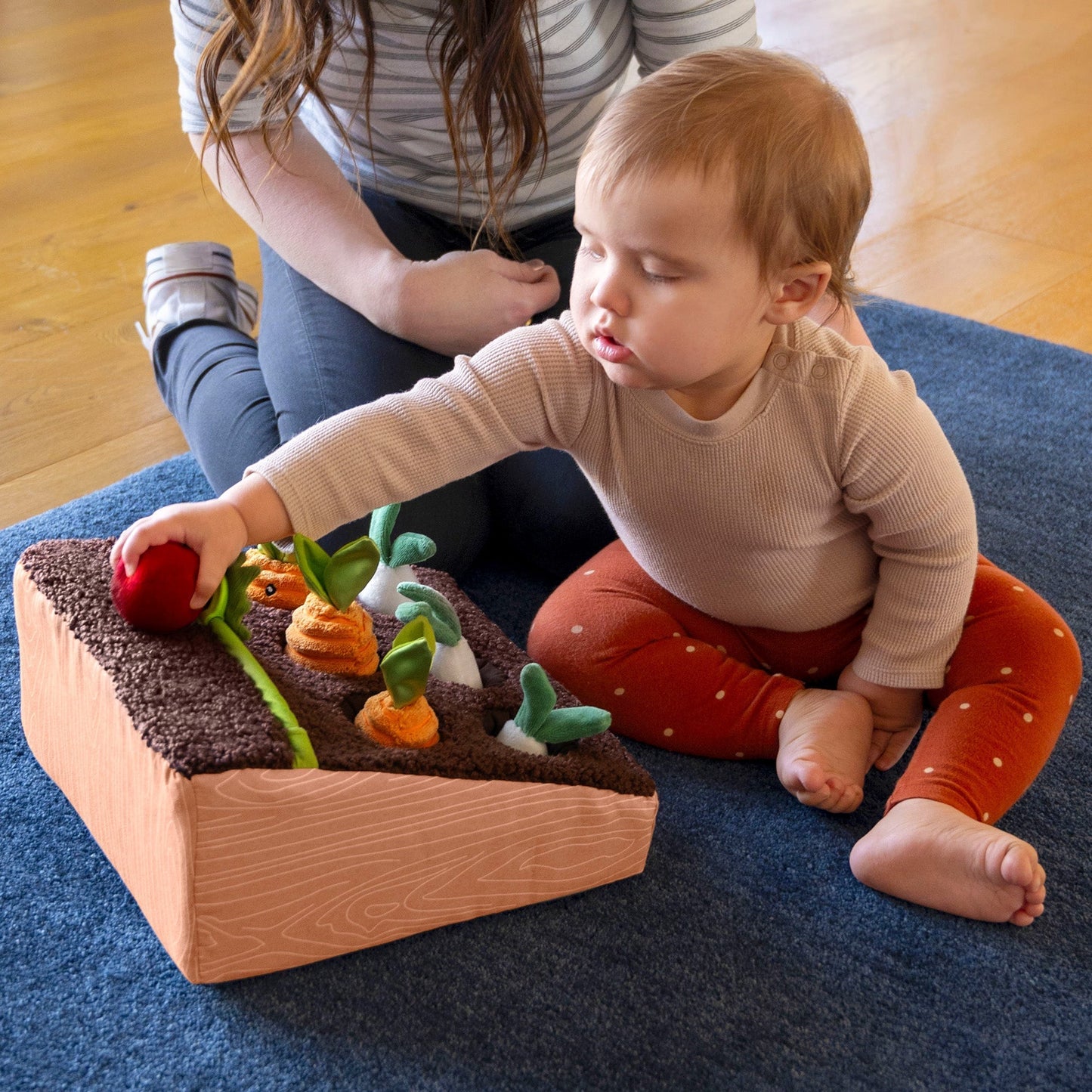 Learn and Grow Garden